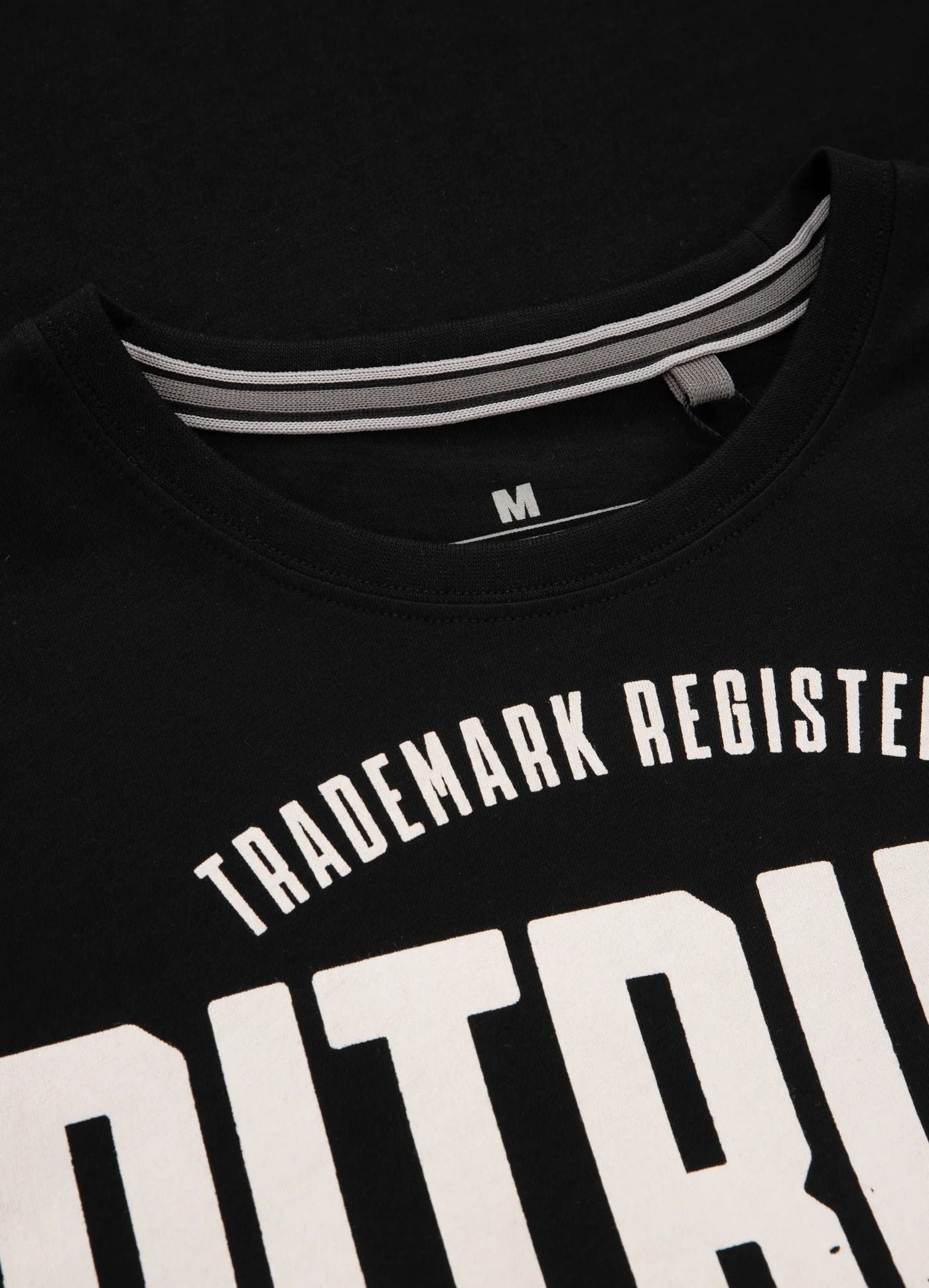 T-Shirt San Diego Dog