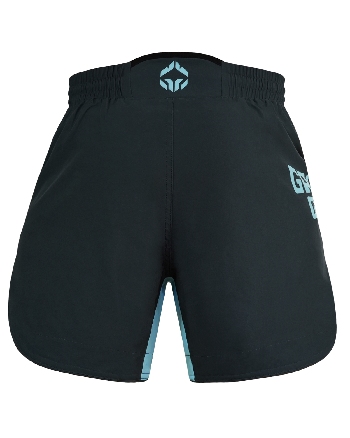 Leichte MMA-Shorts FC Armbar (Mintgrün)