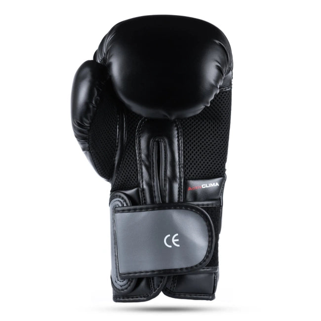 Boxhandschuhe B-2v9