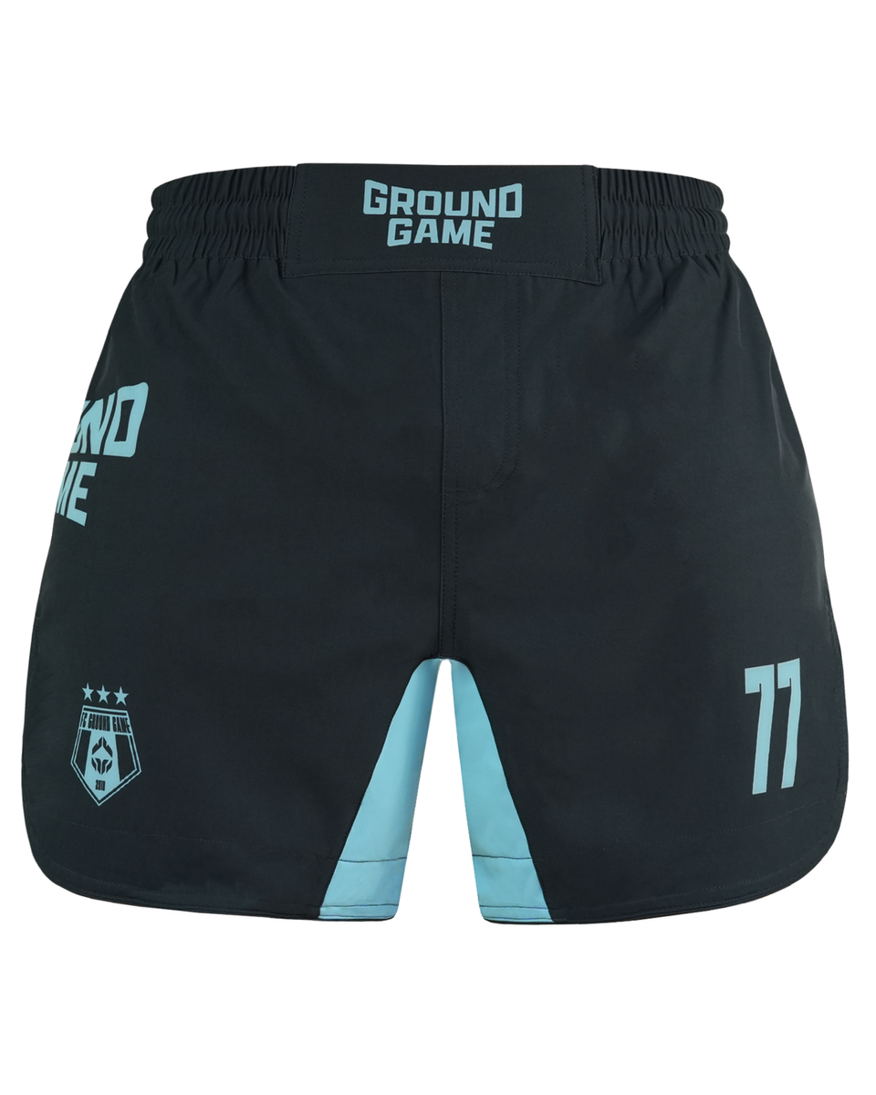 Shorts MMA FC Armbar (Mintgrün)