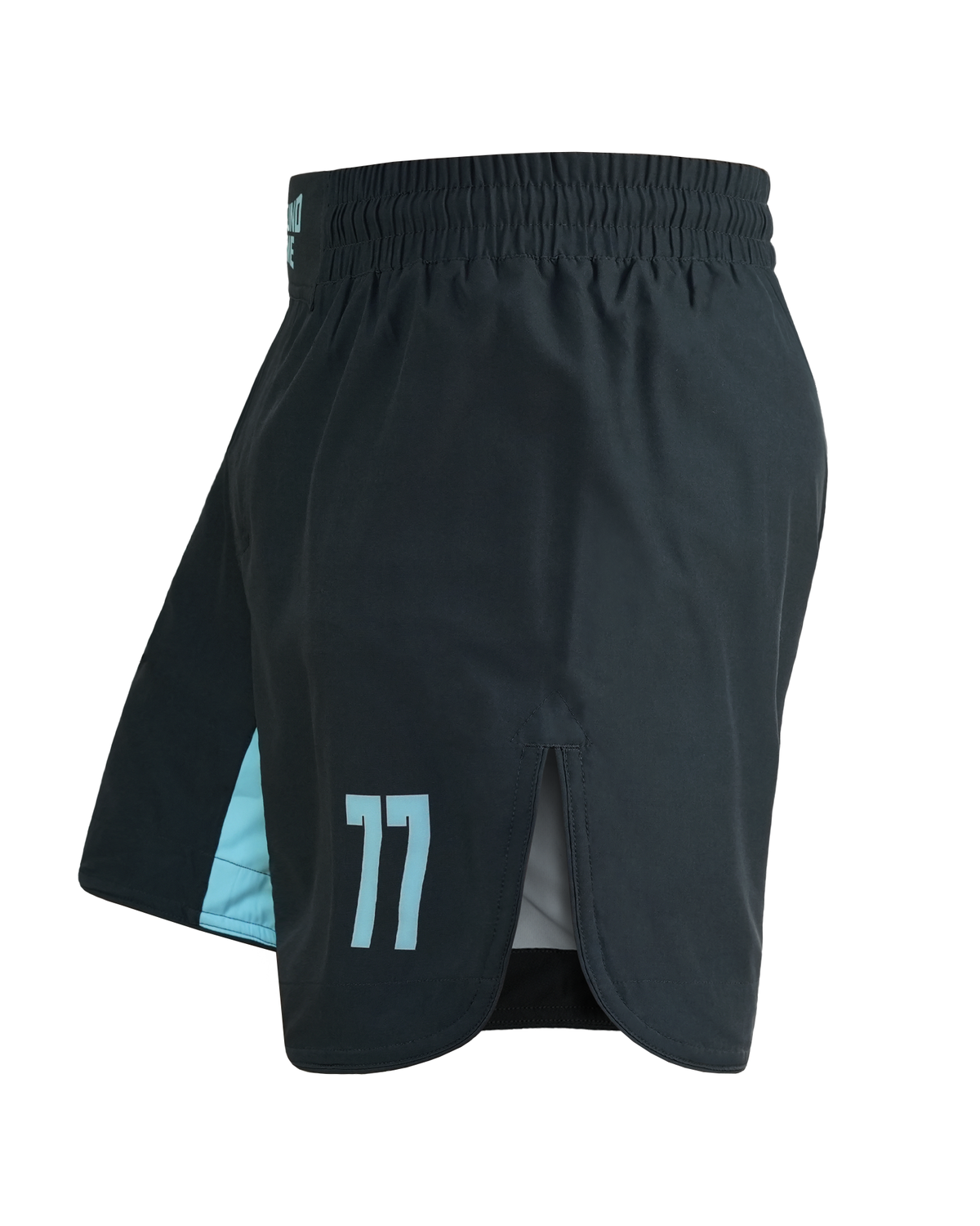 Leichte MMA-Shorts FC Armbar (Mintgrün)