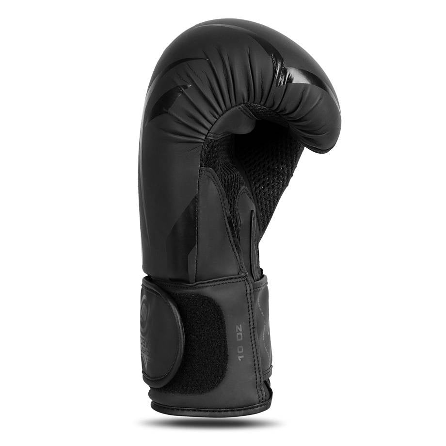 Boxhandschuhe B-2v22 Raptor